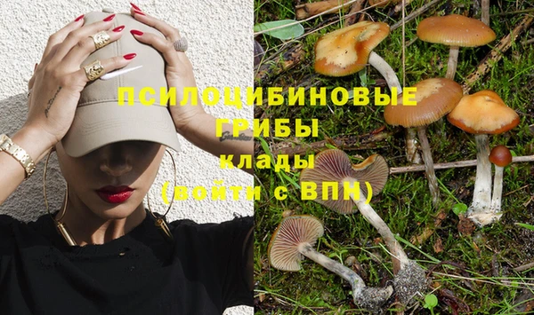 дурь Киреевск