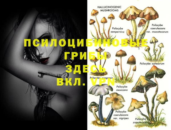 марки lsd Кинешма