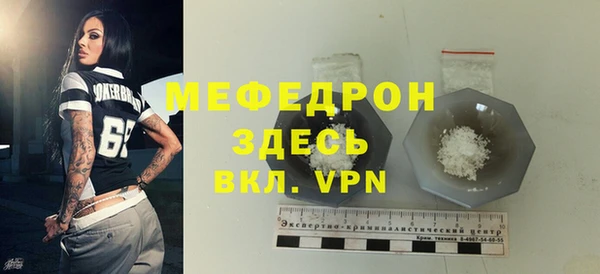 индика Дмитров