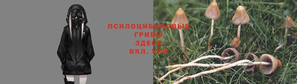 кристаллы Дмитриев