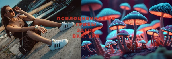 дурь Киреевск