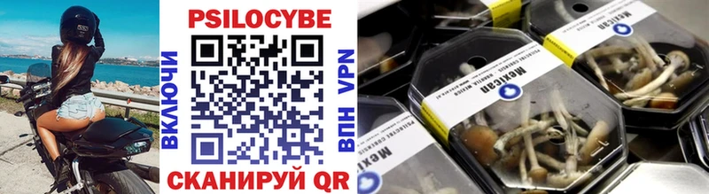 Галлюциногенные грибы GOLDEN TEACHER Купить где Клинцы